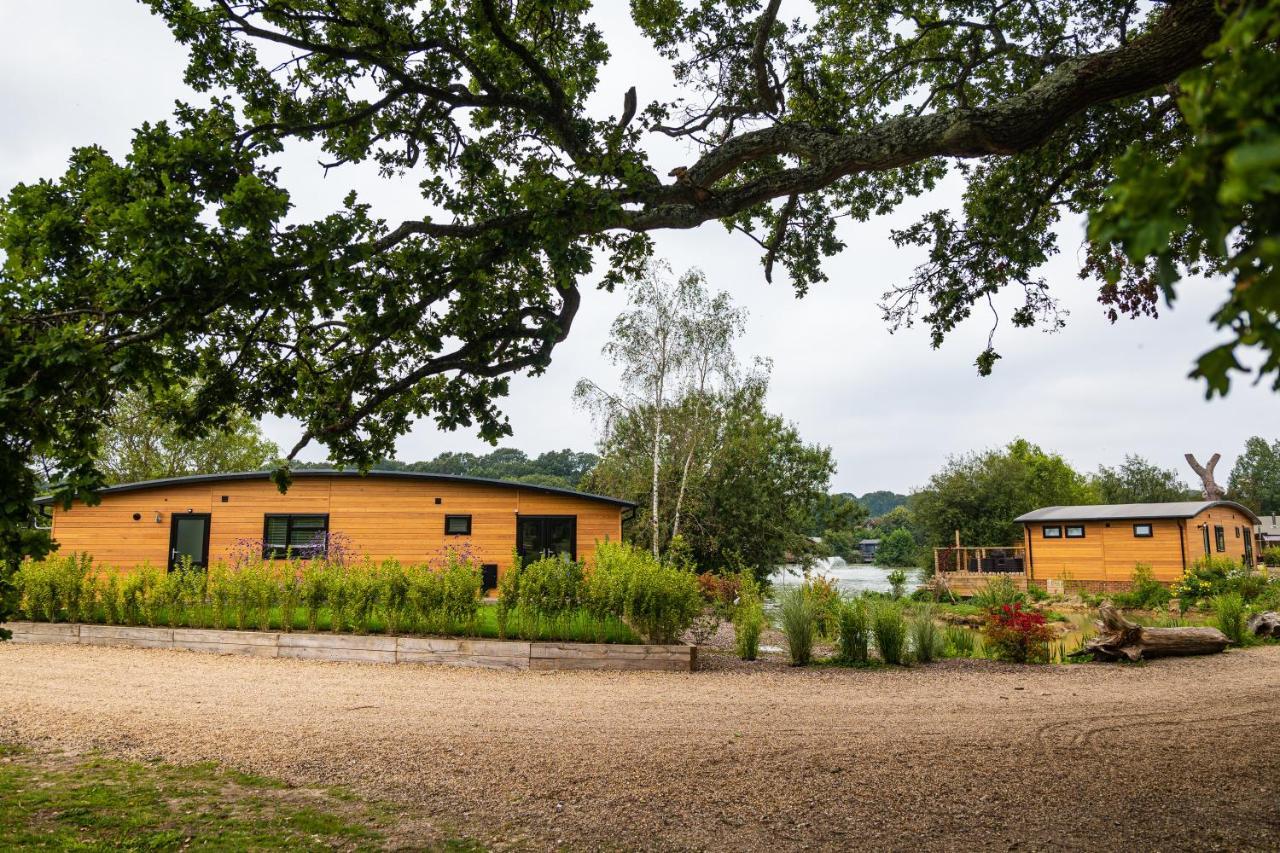 Sumners Ponds Fishery & Campsite Hotel Horsham Buitenkant foto