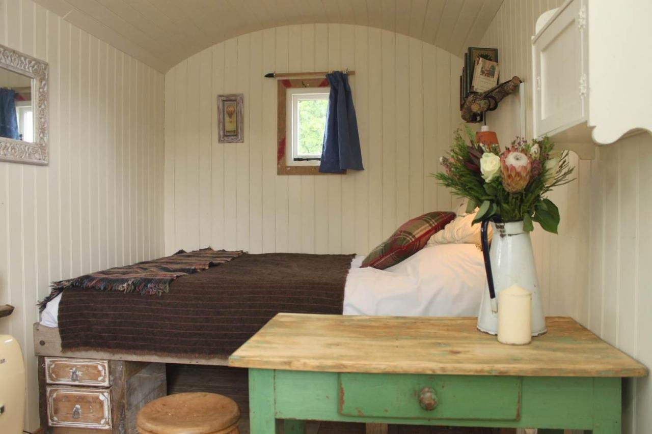 Sumners Ponds Fishery & Campsite Hotel Horsham Buitenkant foto